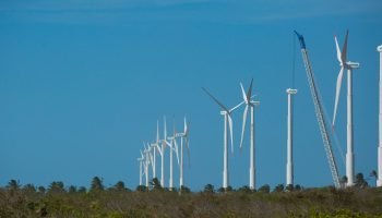 Crédito: agenciabrasil.ebc.com.br